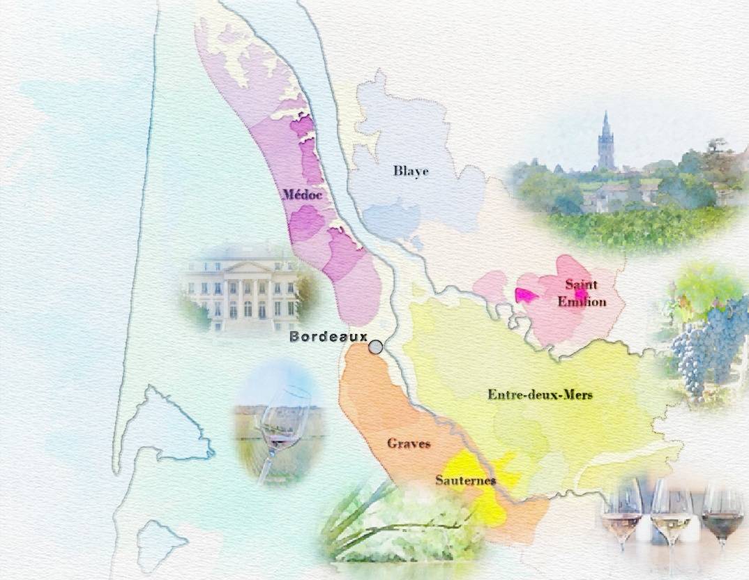 Découvrir les vins de Bordeaux avec un circuit sur-mesure