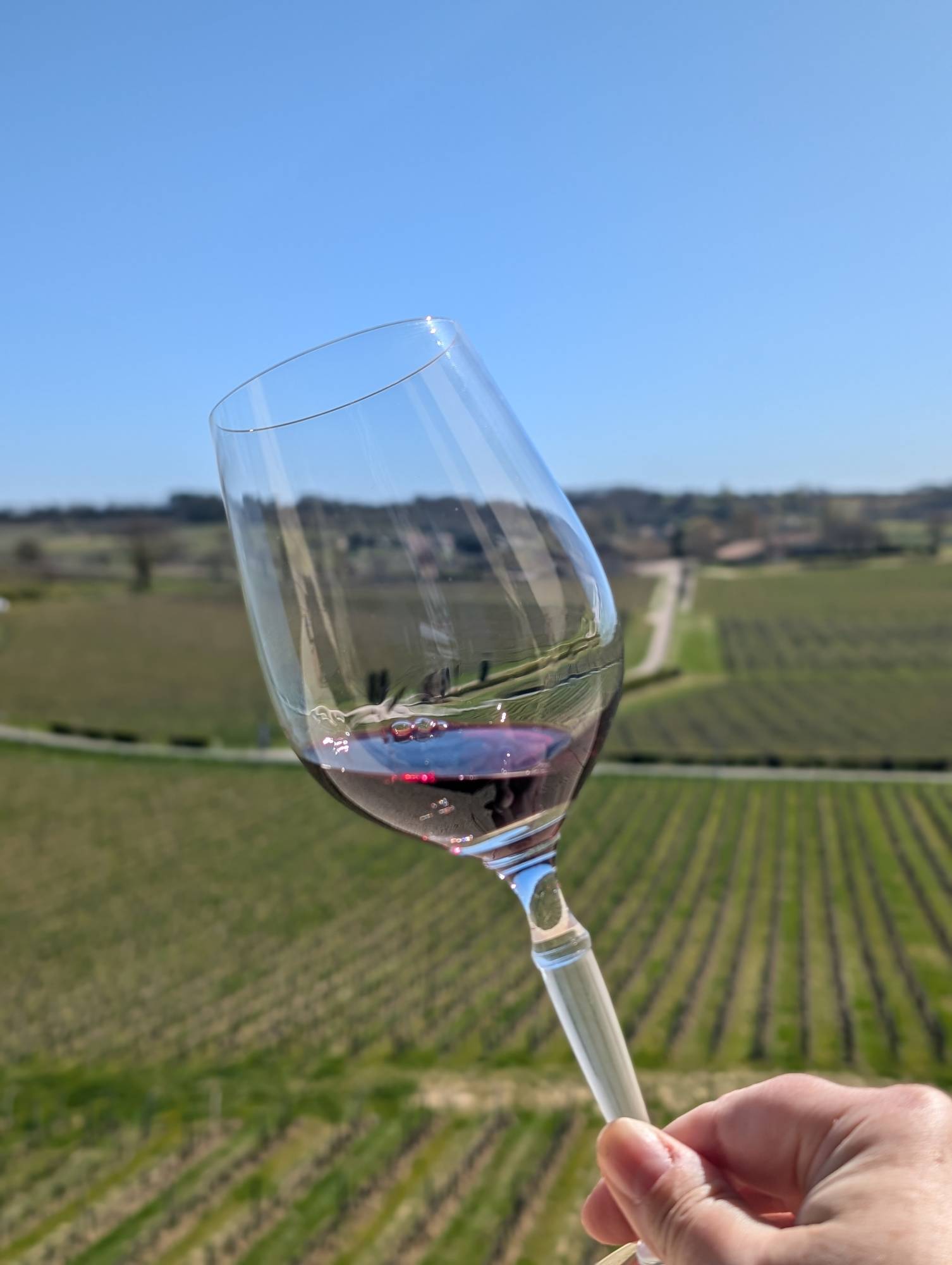 Visite et dégustation à Saint Emilion