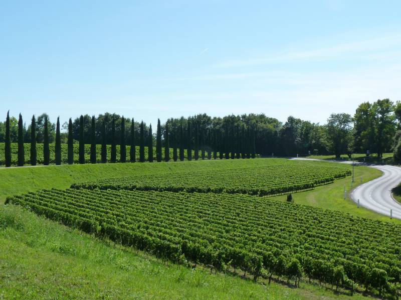 Circuit sur mesure dans le Blayais - Vignoble de Blaye
