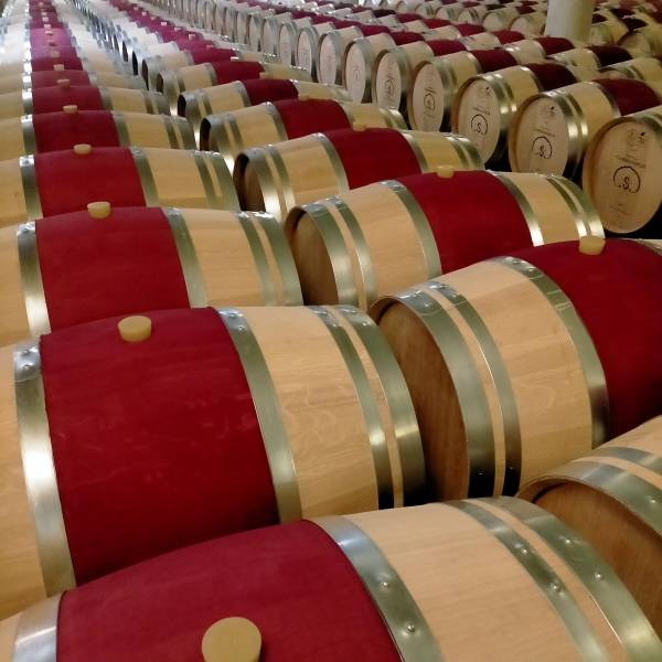 Au cœur des chais de Pessac-Léognan, les barriques veillent sur l'élevage des vins rouges et blancs. Une étape cruciale que vous découvrirez lors de votre circuit œnologique, essentielle pour le développement de leur potentiel de garde et de leur complexi