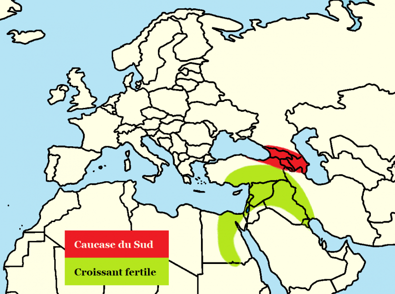 Carte de la domestication primaire de Vitis Vinifera
