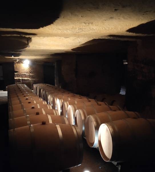 Visite d'une cave souterraine lors d'un Wine Tour à Saint Emilion