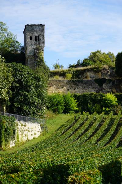 Votre road book personnalisé vous mènera dans les vignobles autour de Saint Emilion, un village classé au patrimoine mondial de l'UNESCO