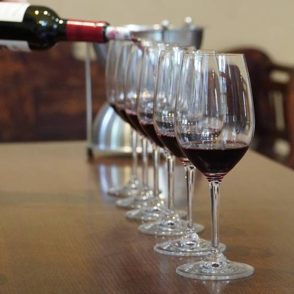 Visite de vignoble à Bordeaux - Dégustation - Circuits à Saint Emilion