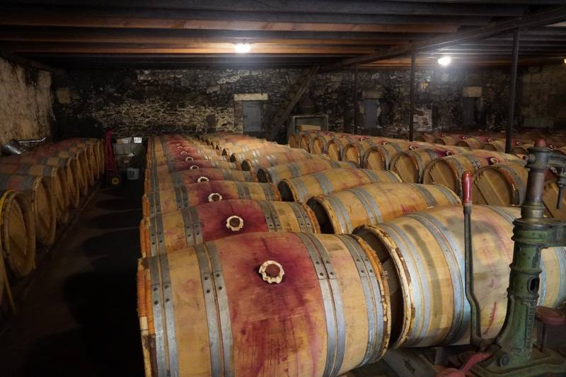 Atmosphère unique et authentique dans ce chai à barriques ! Un circuit sur mesure pour explorer les traditions viticoles et vous faire voyager dans le temps au cœur d'un chai du Médoc