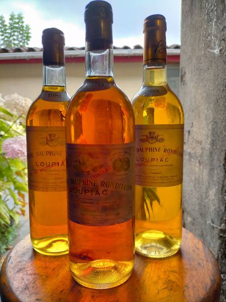 Château Dauphiné Rondillon