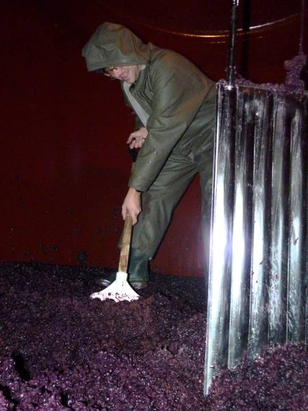 Circuit œnologique rare à Pessac-Léognan : Tête à tête avec le Maître de Chai pour tout savoir sur le travail dans le cuvier