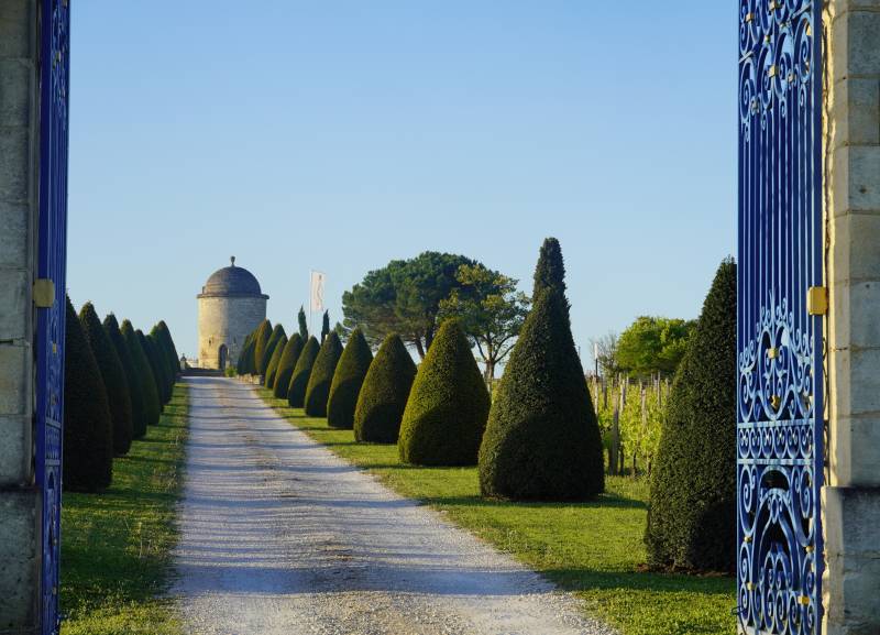 Vivez la magie de Saint-Émilion ! Nos circuits privés vous emmènent au cœur des châteaux bordelais, créant une expérience unique