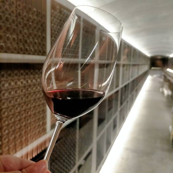 Toutes les visites incluent une dégustation des vins de la propriété