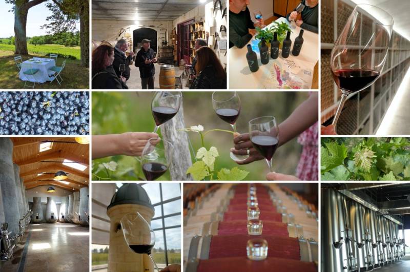 Le Point parle de Secrets de Vignes et de Chais