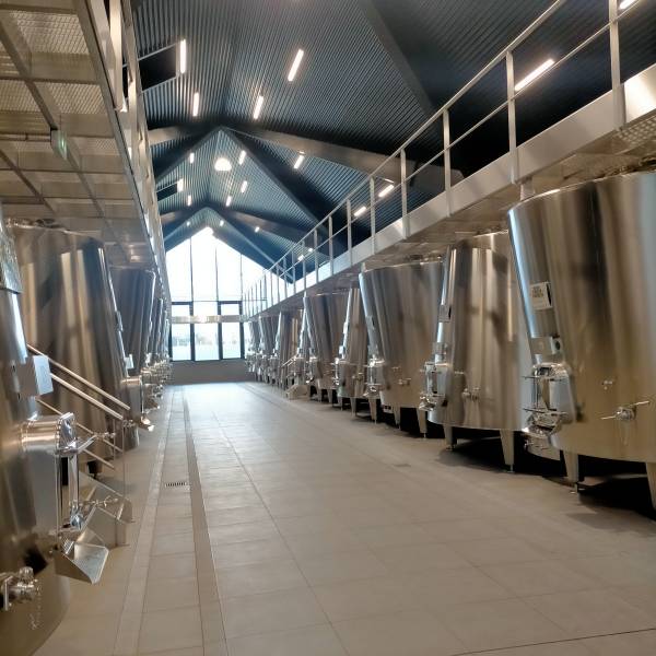 Les secrets de la vinification se révèlent pendant votre circuit œnologique en Pessac-Léognan. Explorez les chais modernes et traditionnels où s'élaborent des vins au remarquable potentiel de garde