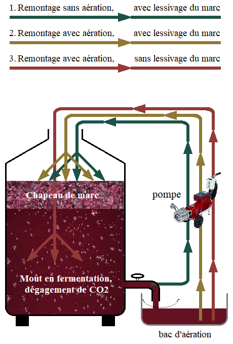 Les options de remontage dans la vinification des rouges