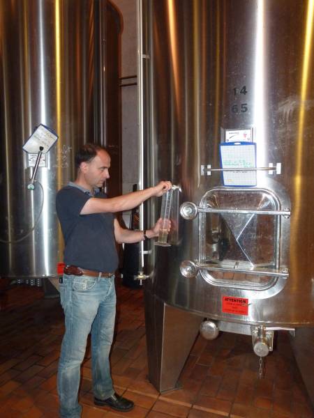 Dégustations quotidienne pendant les vinifications