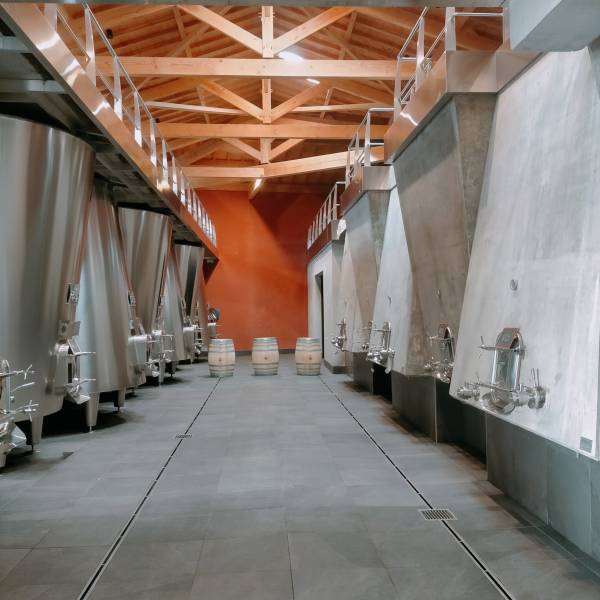 Plongez au cœur de l'innovation ! Nos circuits œnologiques explorent les installations viticoles modernes des propriétés du Médoc