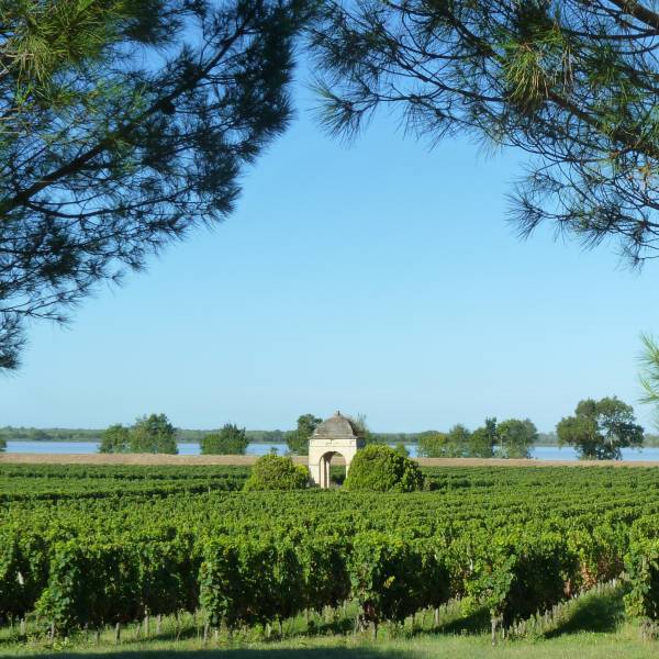 Circuit œnologique à la découverte de la route des vins de la rive droite