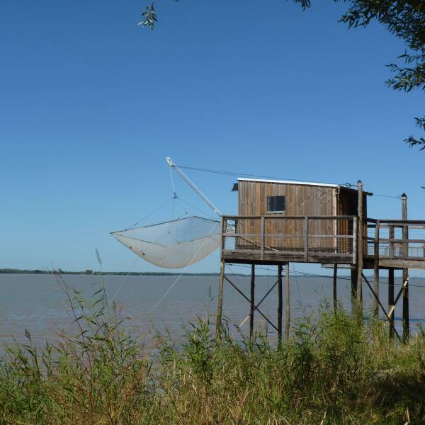Wine tour découverte : Visites de Grands Crus Classés et balade le long de l'Estuaire dans le Médoc