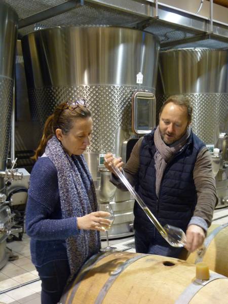 Vivez une expérience de dégustation unique au cœur d'un chai moderne. Goûtez le vin directement à la barrique et percez les secrets de son élevage, à votre rythme