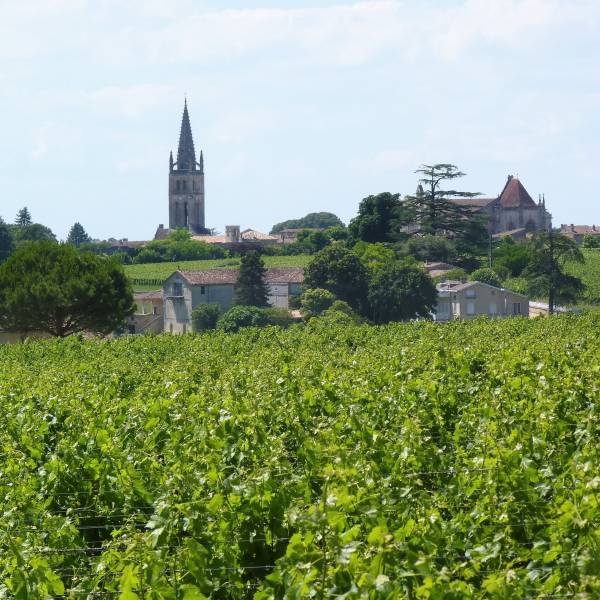 Wine tour découverte : Visite du village de Saint Emilion en plus des visites de Grands Crus