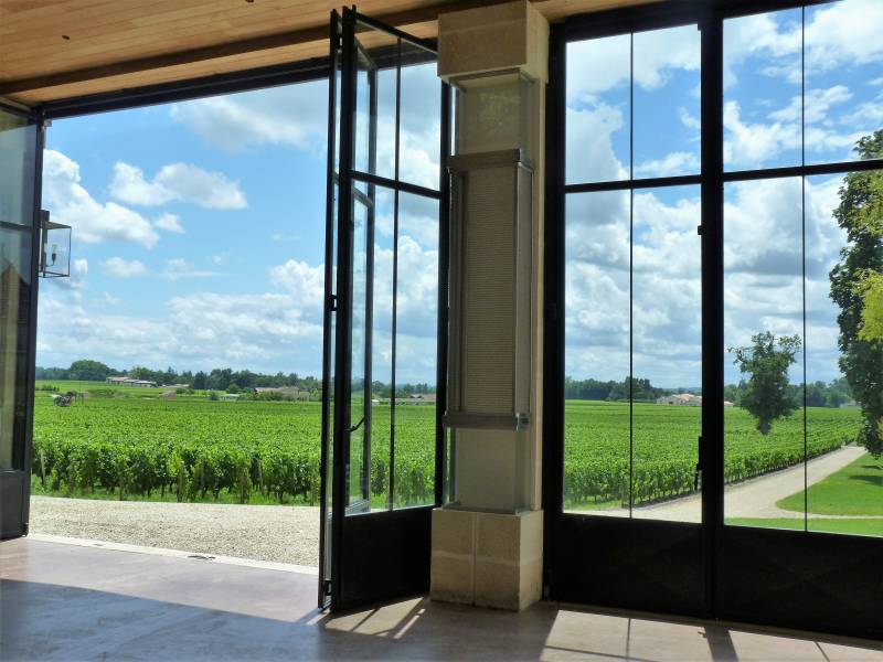 Château Beauregard - vue sur les vignes depuis la salle de réception de la vendanges
