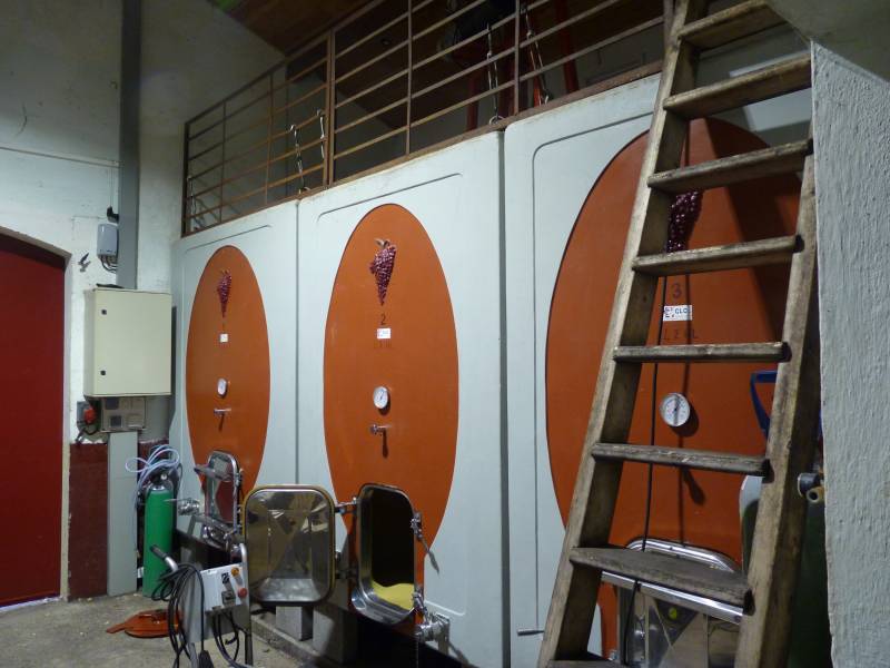 La plus petite propriété de Margaux, le cru artisant Clos de Bigos