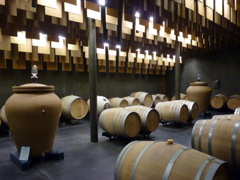 Pendant votre circuit œnologique en Pessac-Léognan, découvrez les installations où la modernité rencontre la tradition