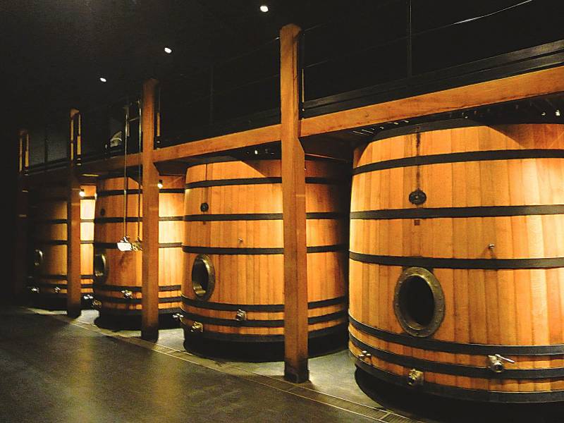 Comparaison entre des installations traditionnelles remises à l'ordre du jour à Pessac-Léognan