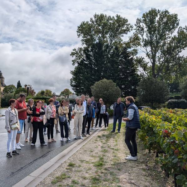 Visite de vignoble à Bordeaux : un guide passionné partage les secrets du terroir, l'activité parfaite pour un séminaire d'entreprise