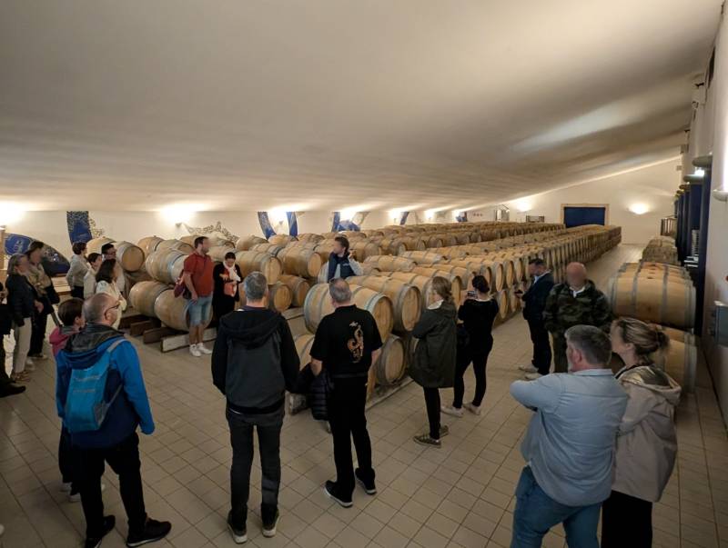 Un chai à barriques dans le Médoc. L'élevage est une étape cruciale pour l'élaboration des grands crus classés de Bordeaux, un sujet au cœur de nos visites guidées pour groupes