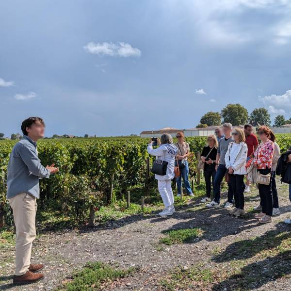 Au cœur des vignobles de l'appellation Margaux, près de Bordeaux. Nos 