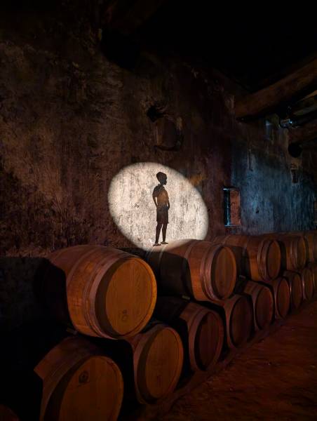 L'histoire du vin de Bordeaux se transmet de génération en génération. Laissez-vous conter ses secrets dans un chai à barriques lors d'un wine tour sur mesure et privé