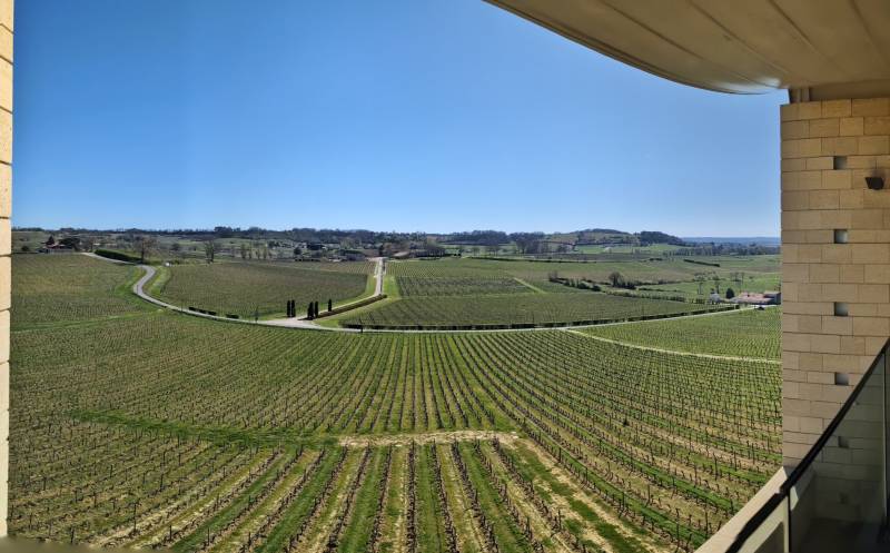 Votre circuit œnologique à Saint-Émilion - Saint Emilion, un paysage structuré par les vignes