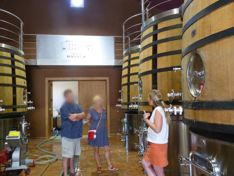 Comprendre la vinification, de la vendange à la fermentation, c'est ce que proposent nos master class en visitant un cuvier. Une étape cruciale de l'œnotourisme instructif