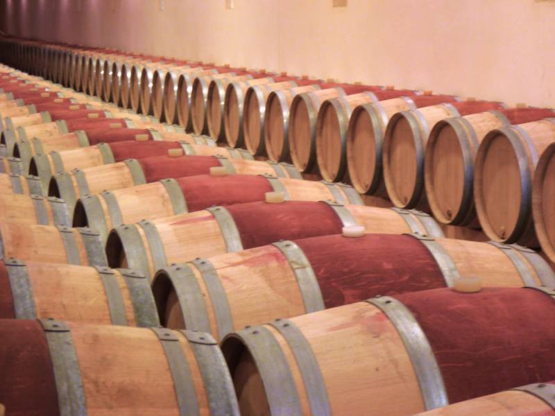Château Reverdi - le chai à barrique, 800m² de vin