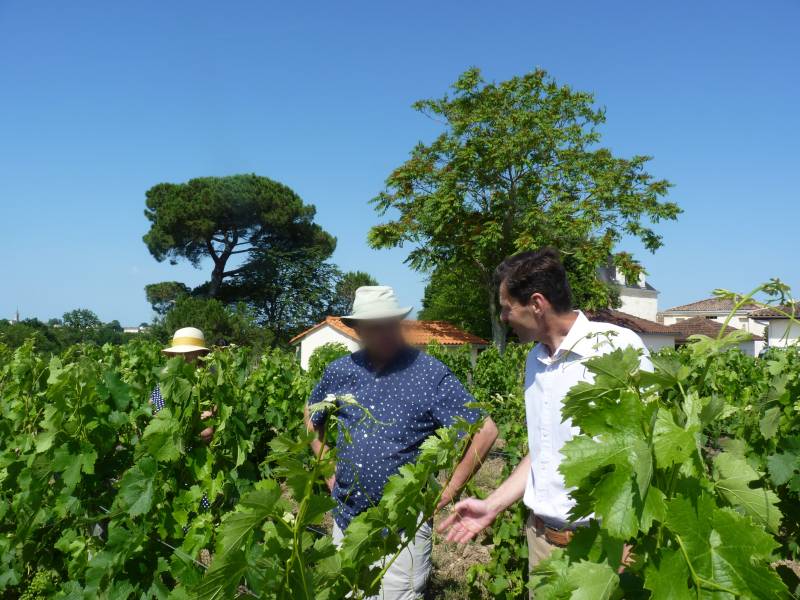 L'œnotourisme prend tout son sens au milieu des vignes : échangez avec les experts du domaine et comprenez le travail de la vigne qui fait la singularité des vins de Lalande de Pomerol