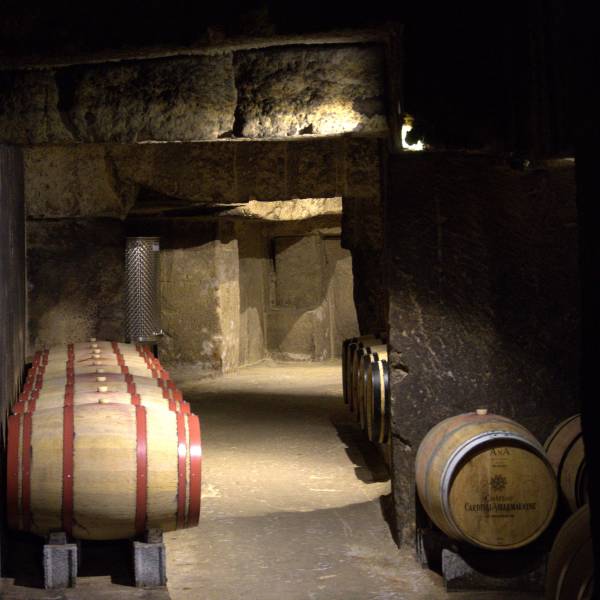 Découvrez les secrets de l'élevage du vin au cœur d'une cave historique de Saint-Émilion. Un moment privilégié de nos parcours d'œnotourisme instructif
