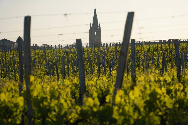 Circuit œnotouristique à Saint-Émilion : découvrez la beauté des vignobles de Bordeaux avec nos circuits sur mesure