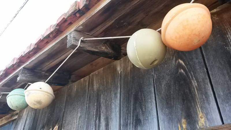 Cabanes ostréicoles le long de la Gironde