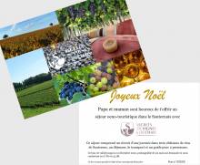 Notre zone d'activité pour ce service Weekend dégustation de vin de Saint-Emilion pour un EVJF ou un EVG