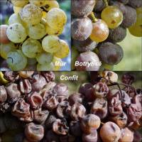 Nos prestations sur le secteur de à Bordeaux 