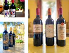 Notre zone d'activité pour ce service Weekend dégustation de vins avec visite de châteaux de Pomerol