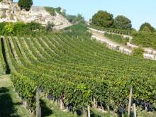 Nos prestations sur le secteur de à Bordeaux 